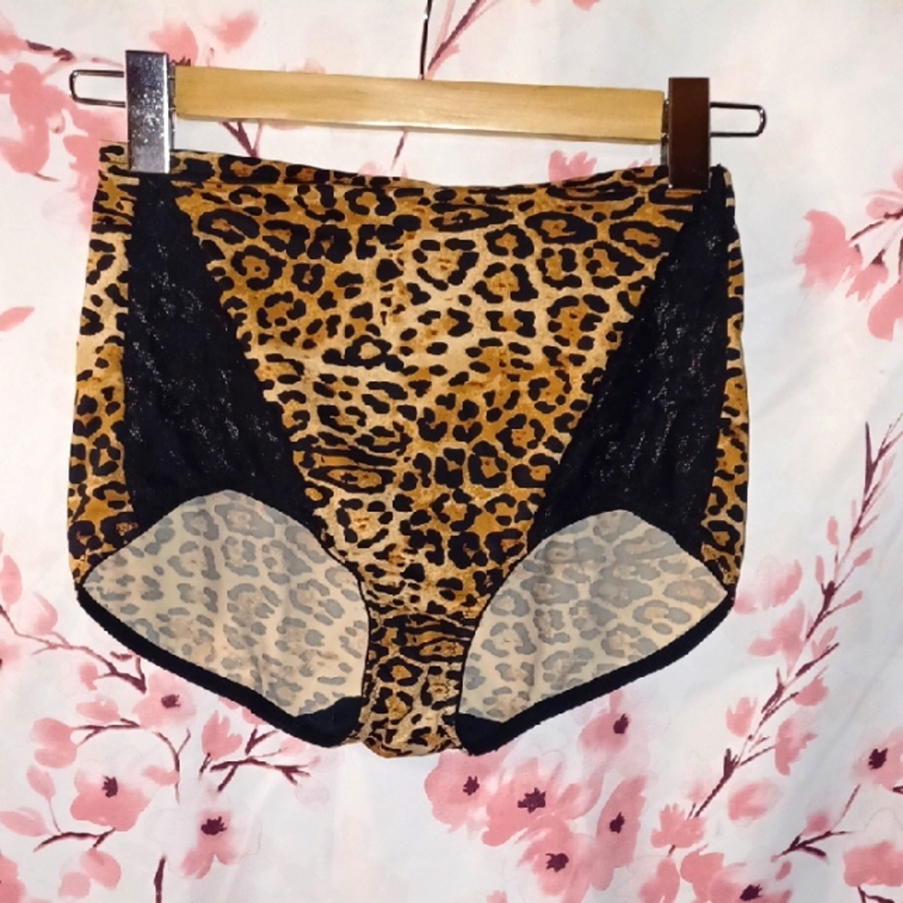 Maidenform Blue and Tan Intimates